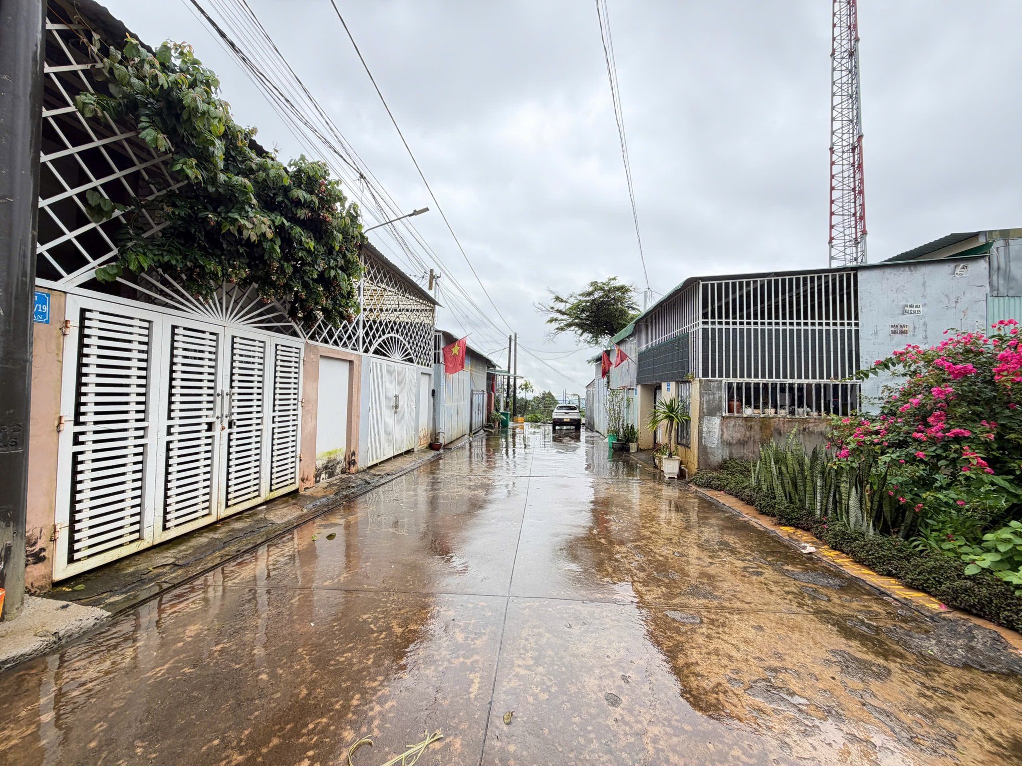 Đất nền Thành Đồng, 65m2, 2 ô tô tránh, giá đầu tư chỉ 1.99 tỷ