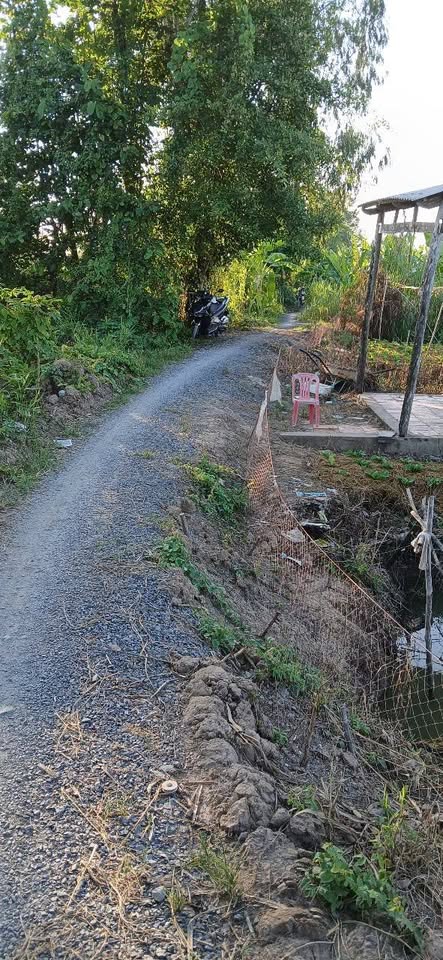 Khu đất lúa rộng lớn với diện tích 3689m2, tọa lạc tại Xã Tân Phước, Lai Vung, Đồng Tháp