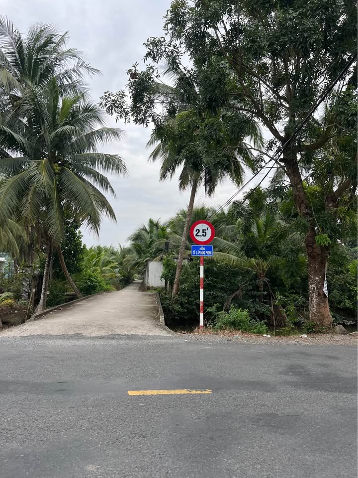 Siêu phẩm đất nền 2000m2 tại Đăng Phong, Thanh Bình, Đồng Tháp