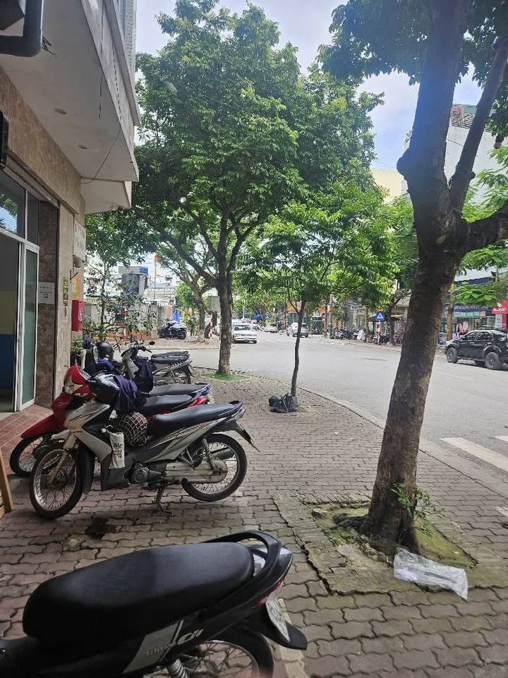 Cơ hội sở hữu căn nhà 7 tầng siêu hiếm tại Phố Trạm, Cổ Linh, Long Biên, Hà Nội