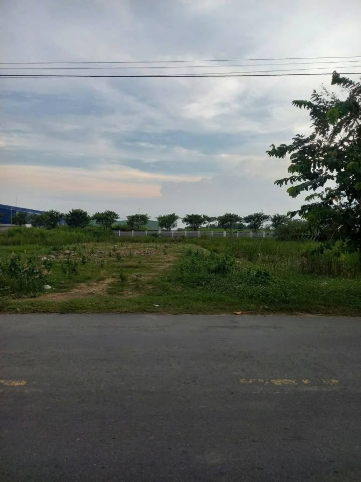 Đất vàng Long An 259m2 mặt tiền tỉnh lộ 826B, liền kề khu công nghiệp Phước Đông sầm uất