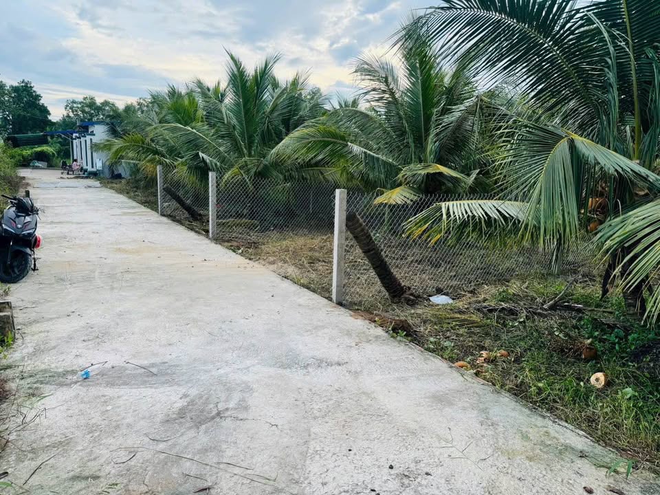 Đất nền biệt thự mini Phú Tân, Bến Tre, sổ đỏ sẵn sàng, giá hời