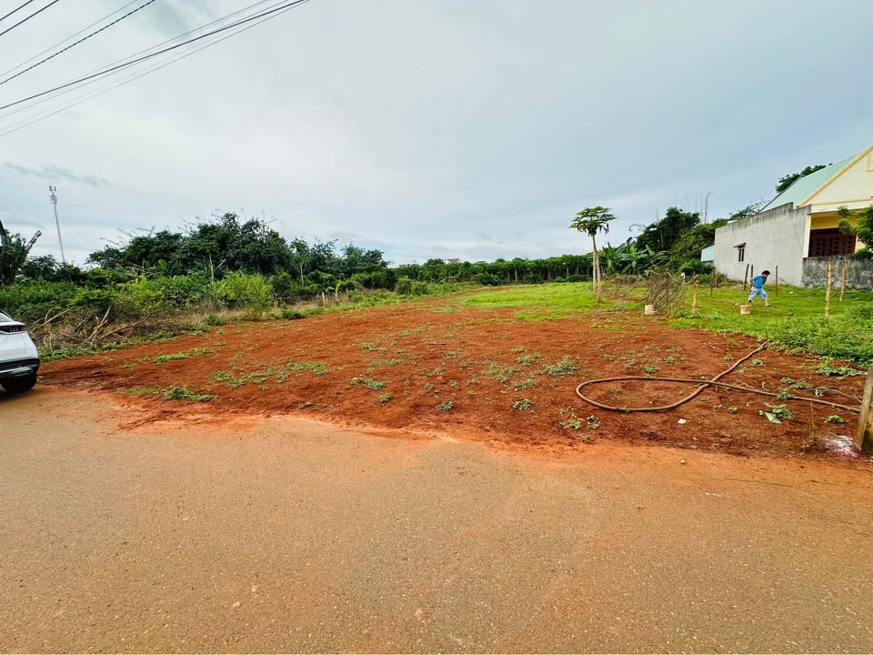 Đất vàng Hòa Long 15mx67m, sổ đỏ riêng, giá tốt