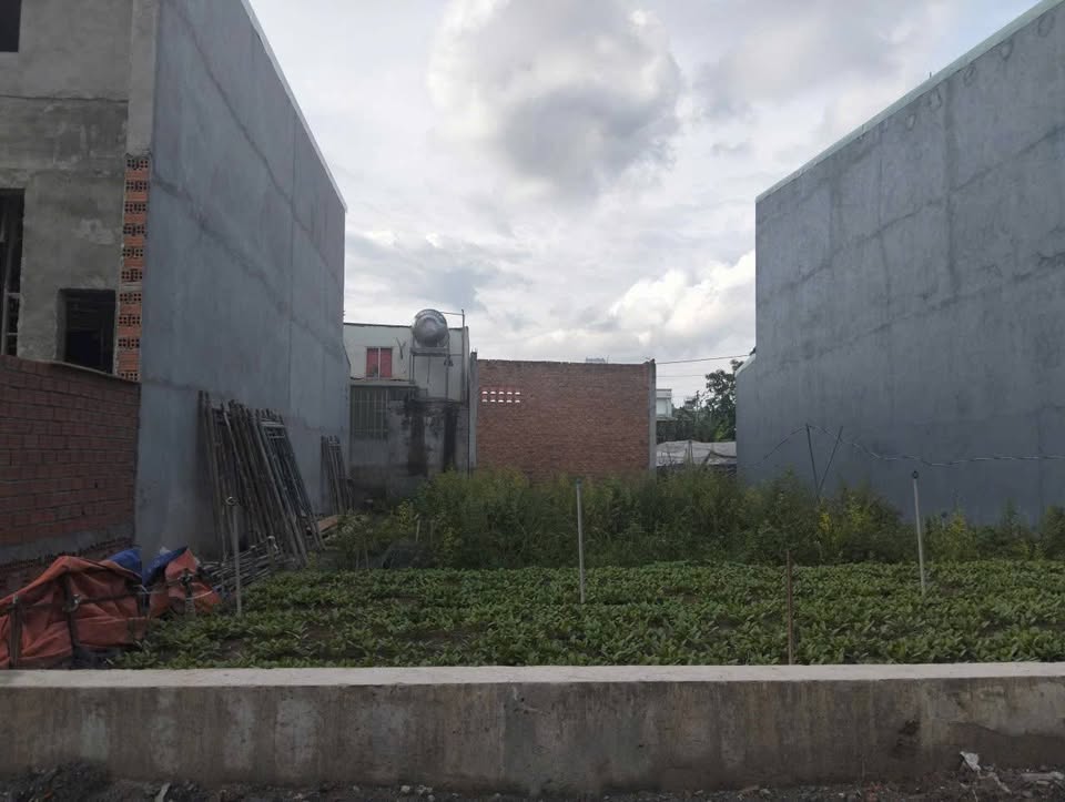 Cơ hội đầu tư sinh lời siêu thơm với lô đất vàng tại Hoà Lợi, Bình Dương