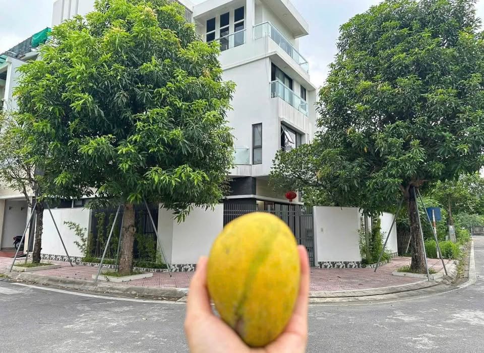 Biệt thự siêu vip khu đô thị Thống Nhất lô góc, full nội thất, giá yêu thương