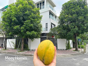 Biệt thự siêu vip khu đô thị Thống Nhất lô góc, full nội thất, giá yêu thương