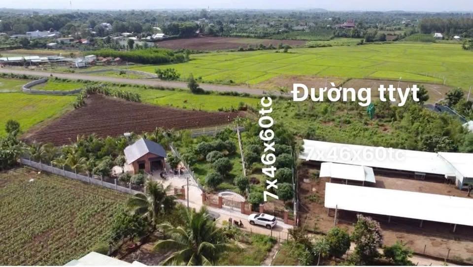 Vườn xanh thị trấn Ngãi Giao 500m2 đất vuông vức, sẵn cây ăn trái, chỉ 1,95 tỷ