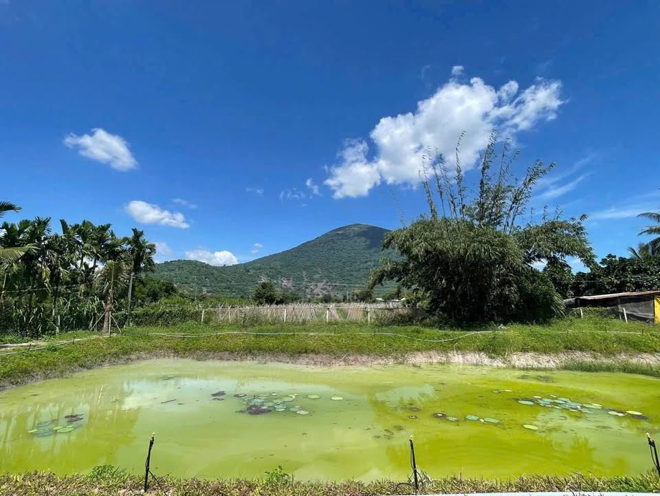 Sở hữu ngay hơn 4.1 sào đất tuyệt đẹp tại phường Ninh Sơn, thành phố Tây Ninh