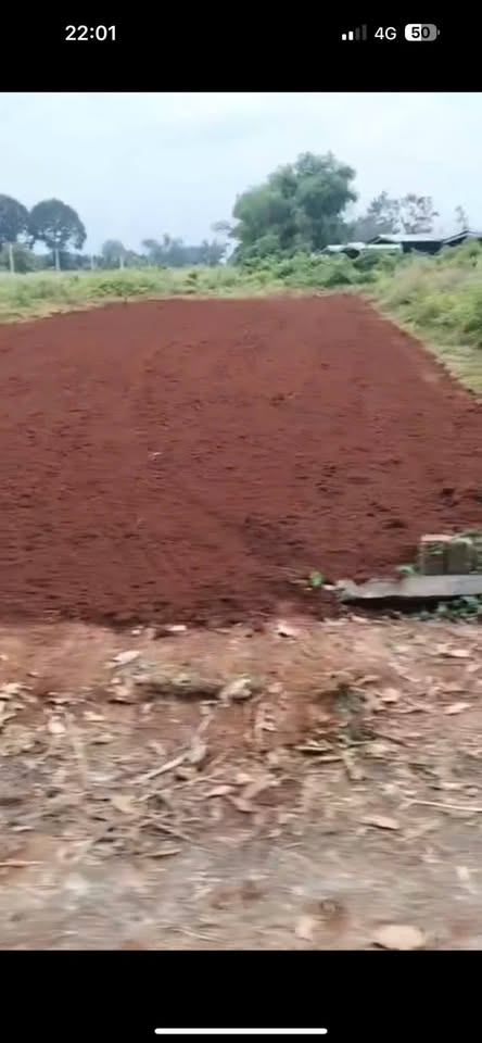 Đất Long Tân giá sập sàn, đầu tư là lời ngay