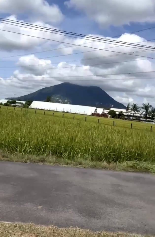 Siêu phẩm đất Chà Là, Phường Ninh Thạnh, Thành phố Tây Ninh đang chờ chủ nhân mới