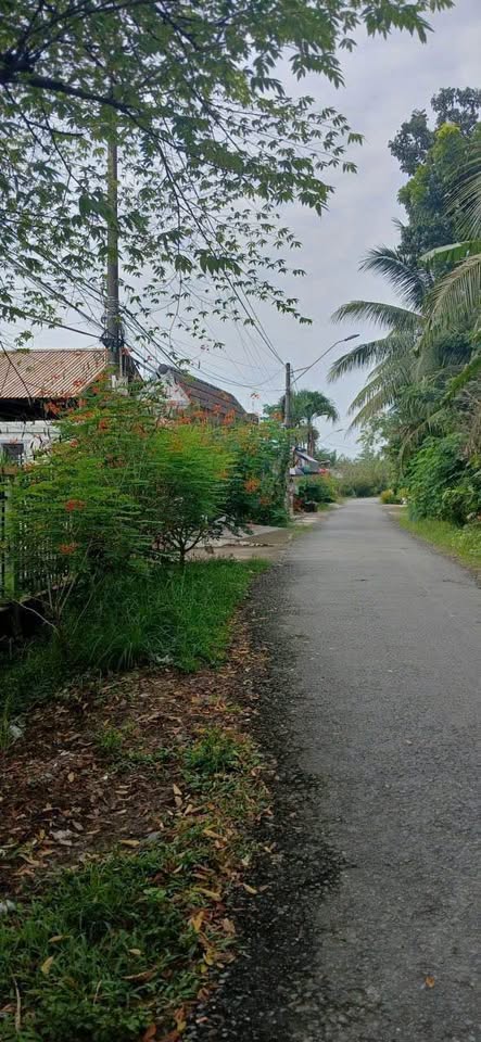 Bán đất 165m2 mặt tiền kinh doanh, gần Ủy ban xã Long Phước, Vĩnh Long