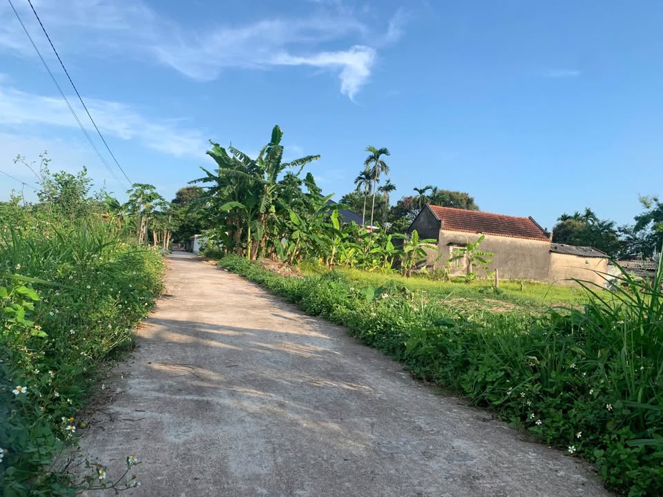 Bán đất lô góc cực xịn, hai mặt tiền, đường ô tô đỗ cửa, Hà Nam