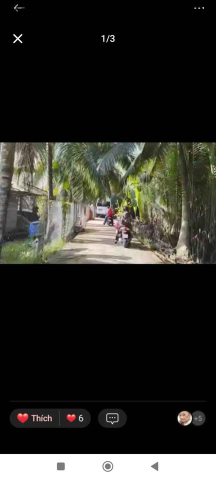 Bán gấp đất Phú Hưng, Bến Tre - 606m2, sổ thể hiện đường, giá tốt