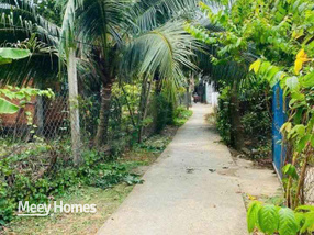 Đất Phú Túc 252m2, mặt tiền 6m, vị trí đẹp, giá chỉ 530 triệu