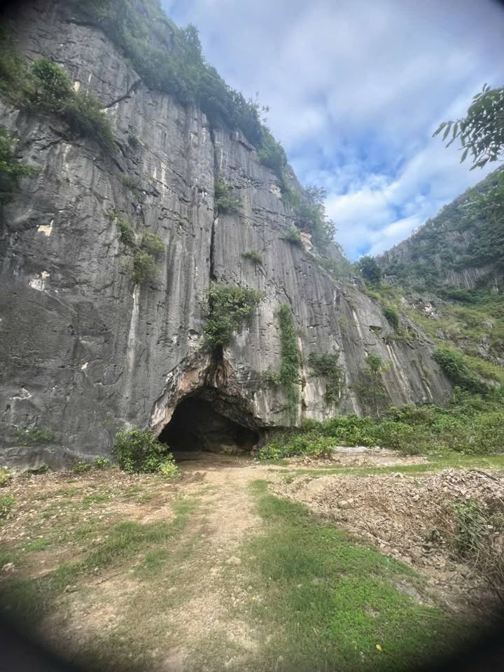 Trang trại 2.1ha bám mặt đường nhựa 100m, giá 5.5 tỷ - Thanh Hóa