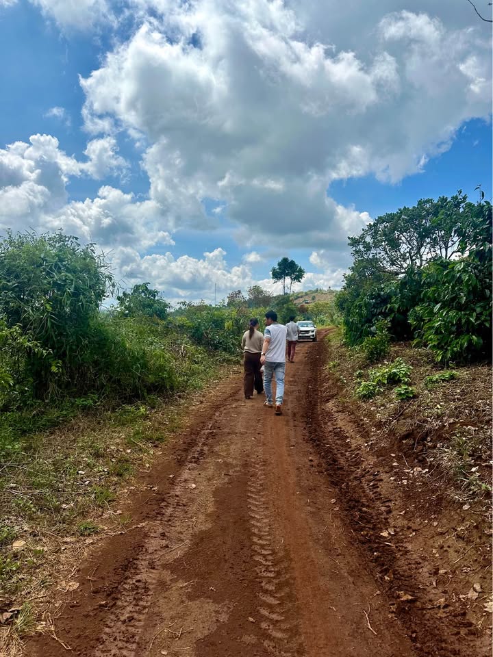 Đất view suối 4700m2 tại Lâm Đồng, tiềm năng phân lô, giá chỉ 850 triệu