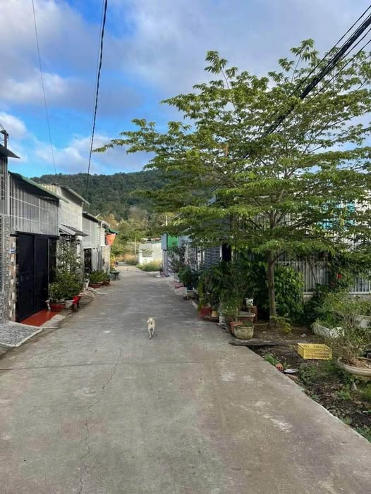 Bán đất nông nghiệp 220m2 mặt tiền 10m, gần chợ Thành Nhất, Buôn Ma Thuột