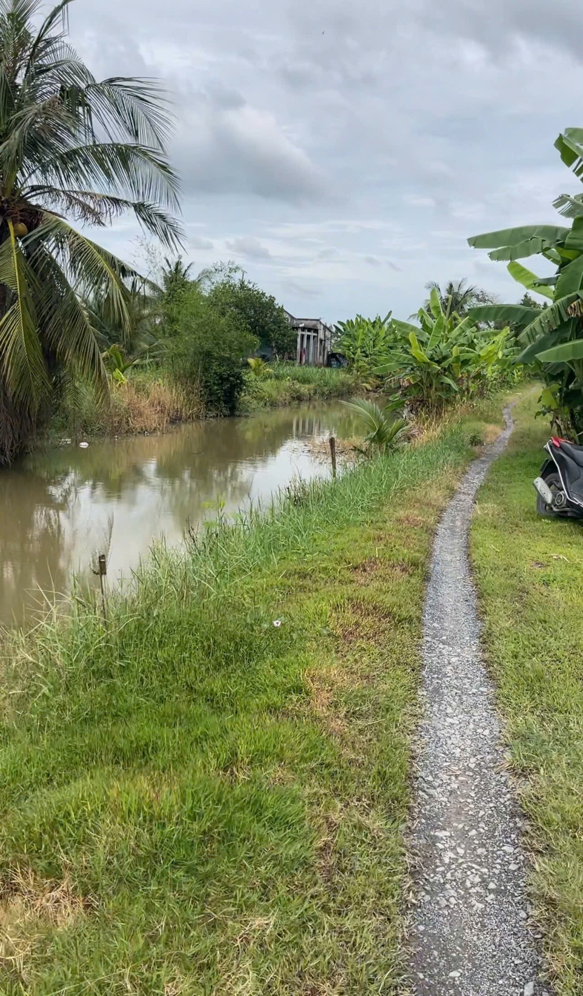 Bán nhanh 2 lô đất vàng Gò Công Tây - Hướng Tây mát mẻ