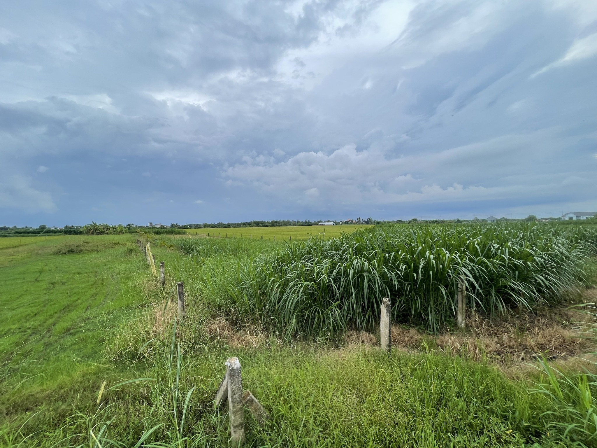 Siêu phẩm đất nền rộng rãi 1280m² tại ấp Long Bình, xã Yên Luông, huyện Gò Công Tây