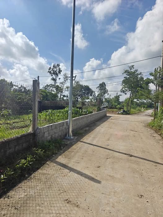 Đất thổ cư Động Liêm giá rẻ bất ngờ, cách Bạch Mai 3km