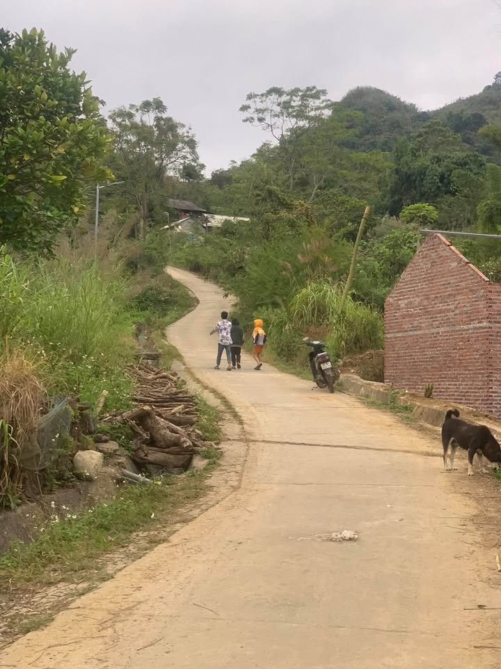 Đất Tân Phong 4000m2 view quảng trường, biệt thự, nghỉ dưỡng bao phê