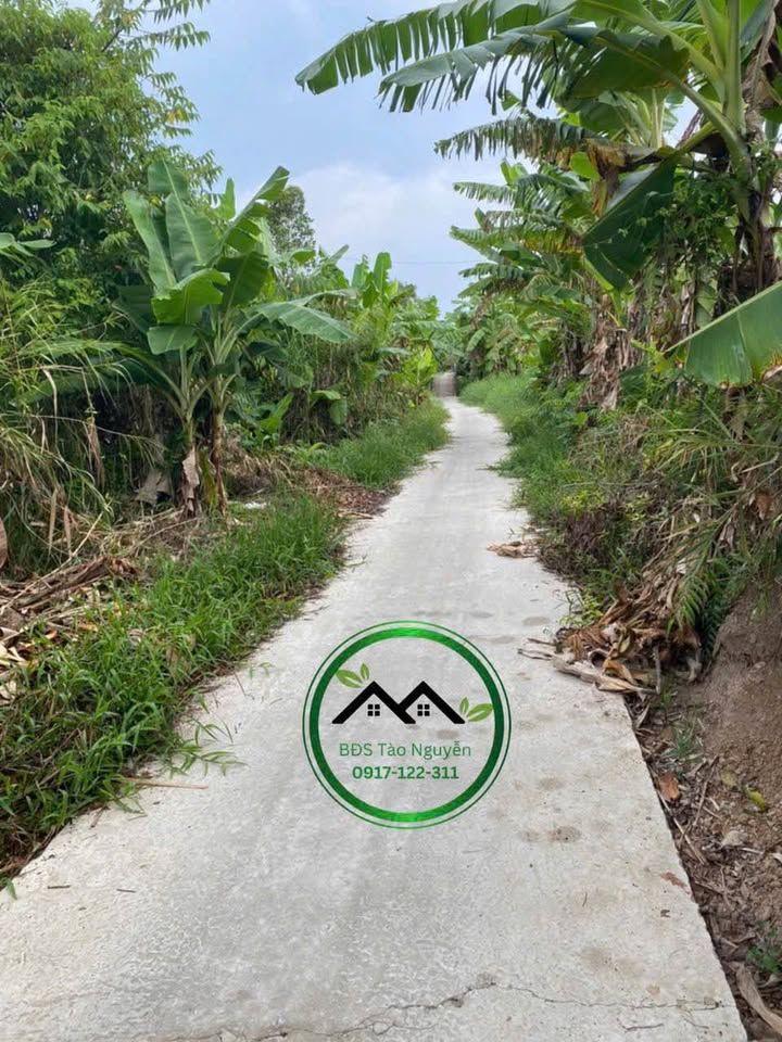 Bán 7 ha đất rừng tại xã Khánh Lâm, U Minh cũ, Cà Mau