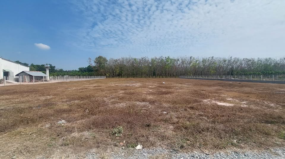 Đất xịn xò 4600m2 mặt tiền ô tô, sổ đỏ riêng - Tây Ninh