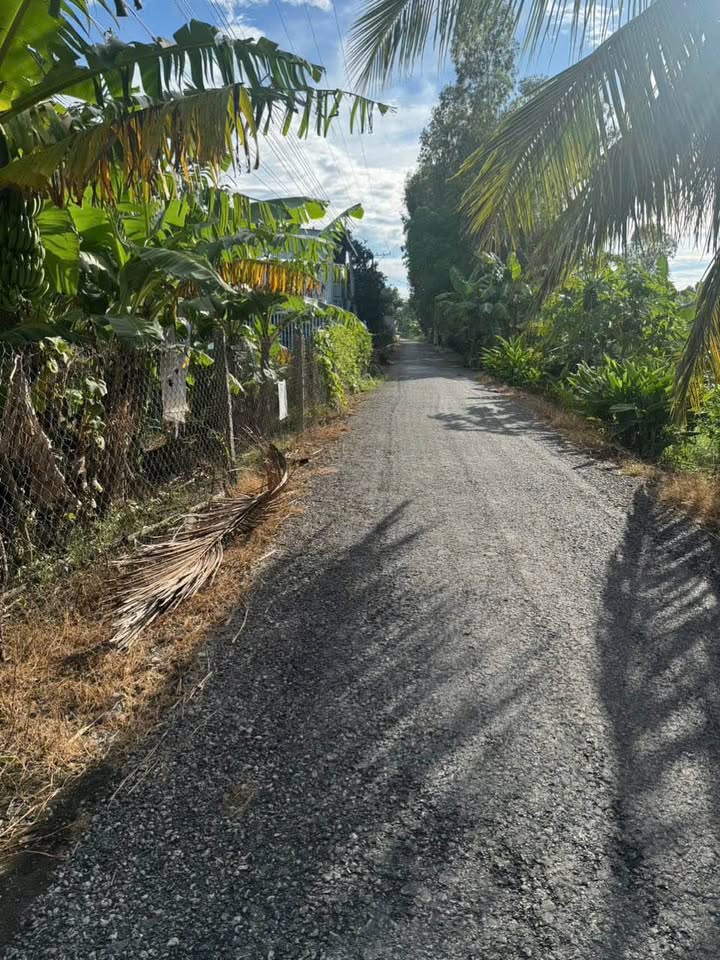 Đất vàng mặt tiền Huỳnh Văn Thụ, Châu Đốc 998m² sẵn sàng cho mọi ước mơ