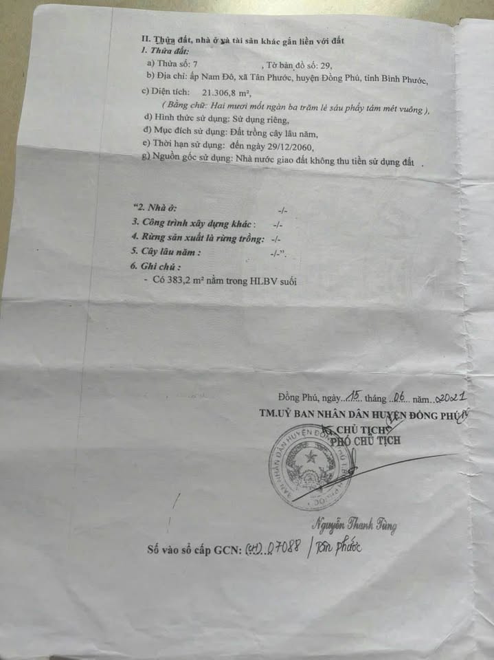 Cơ hội vàng sở hữu ngay hơn 2 hecta vườn điều tươi tốt tại Tân Phước, Đồng Phú