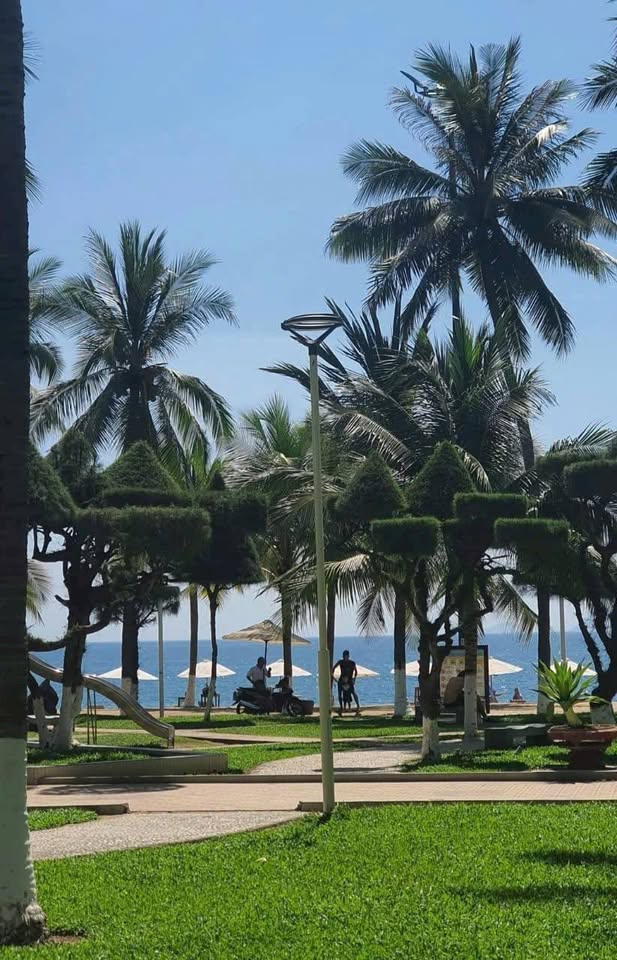 Đất Vĩnh Hòa, Nha Trang, sổ đỏ thổ cư, gần biển, đường ô tô 6m