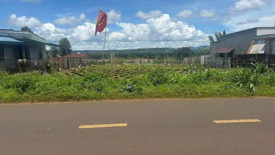 Bán đất mặt tiền Quốc lộ 29, Phú Xuân, Đắk Lắk 350.000 VNĐ/m²