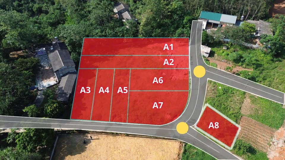 Đất nền F0 siêu hời tại khu công nghiệp Tam Dương, Vĩnh Phúc