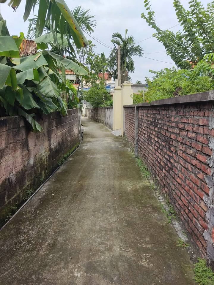 Bán đất vuông vắn, ô tô đỗ gần, 61m2 tại Thủy Nguyên - Hải Phòng