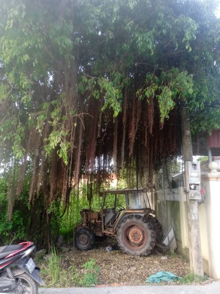 Bán đất Cầu Bà Điện, Hải Xuân, Nam Định - Hướng Nam, full thổ cư