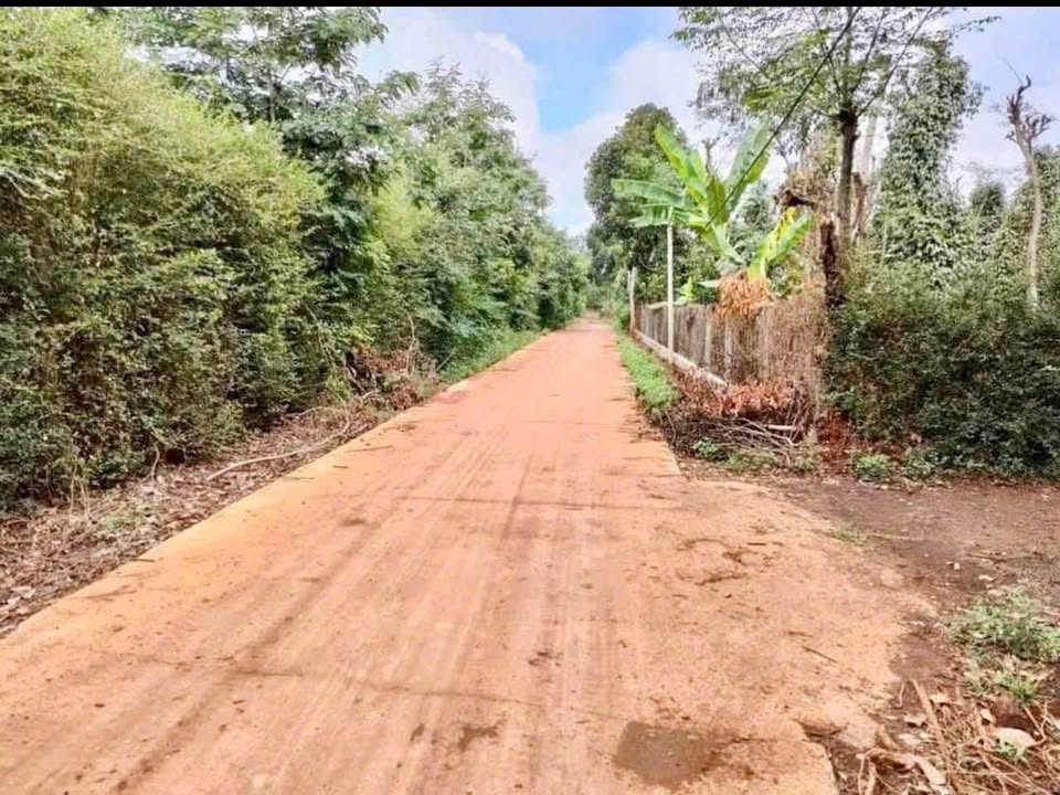 Sở hữu ngay 2 lô đất liền kề đắc địa, tiềm năng sinh lời cao