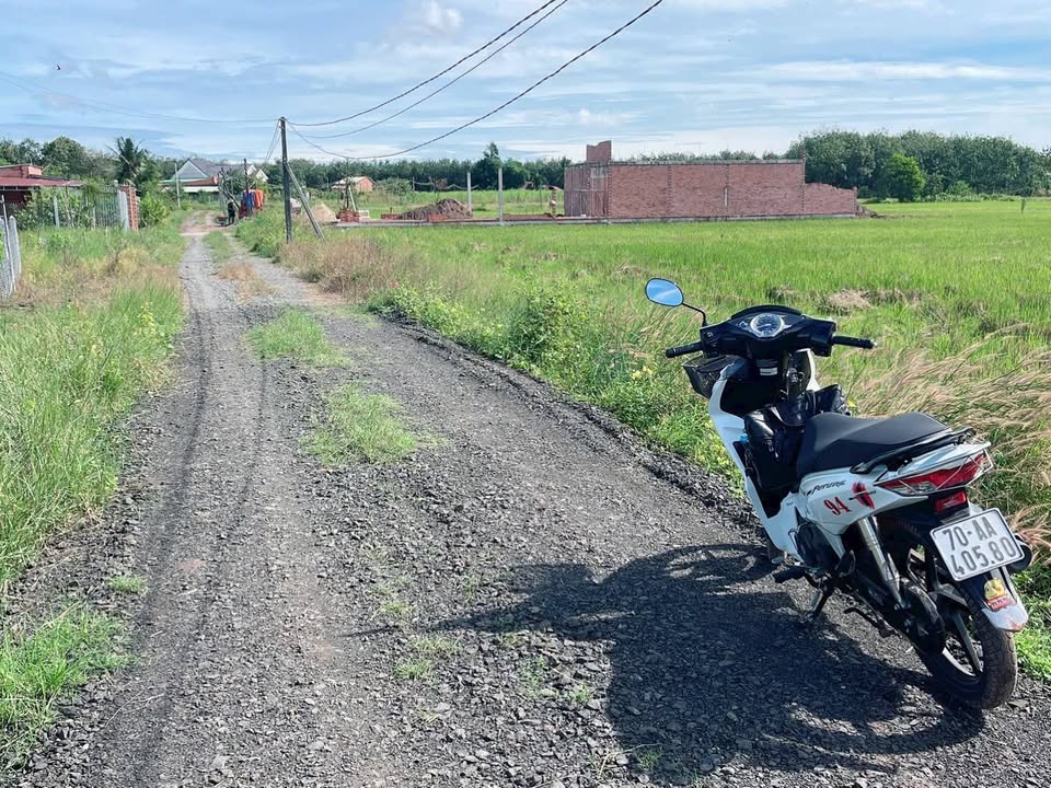 Đất vườn Tây Ninh - An yên giữa đồng quê, giá chỉ 340 triệu