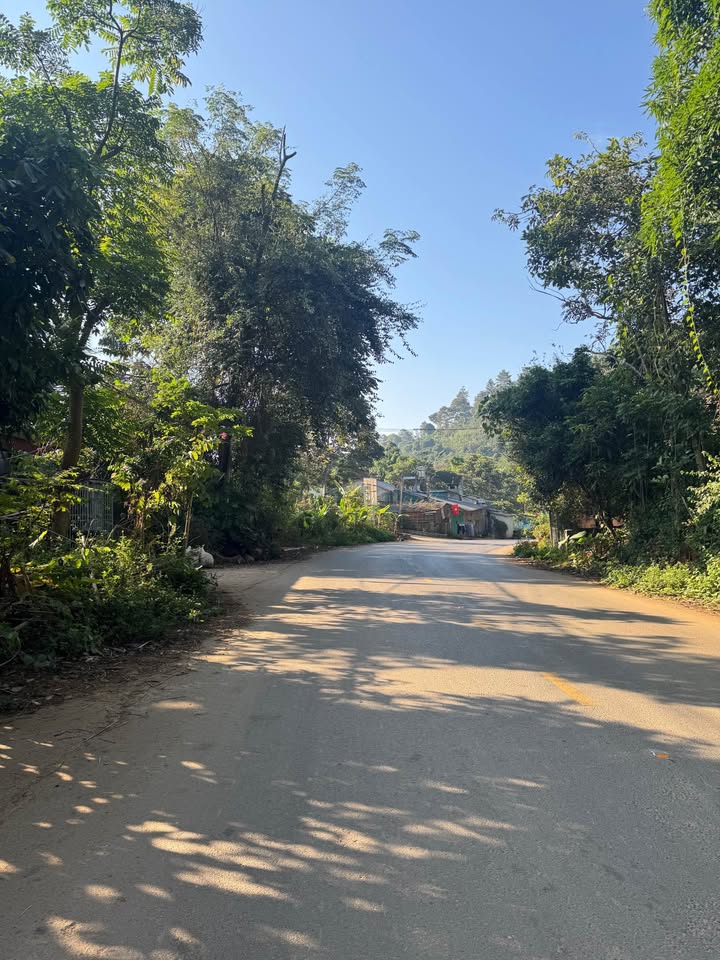 Kính mời quý vị quan tâm đến mảnh đất đầy tiềm năng, tọa lạc trên trục đường dẫn vào suối nước nóng tại Điện Biên