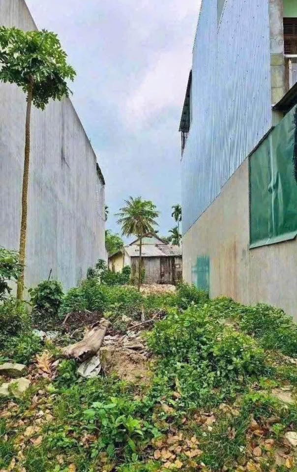 Đất vàng mặt tiền đường Trường Chinh, đối diện trường quốc tế