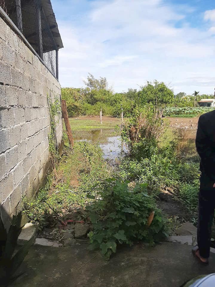 Cơ hội sở hữu ngay 180m2 đất thổ cư sổ riêng cực đẹp tại hẻm Hoa Lâm