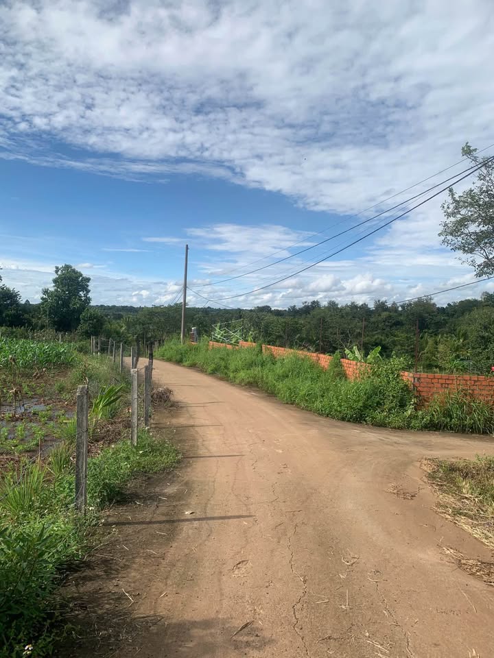 Đất nông nghiệp đẹp – Sổ hồng riêng – Thôn 8, Buôn Ma Thuột – 708m²