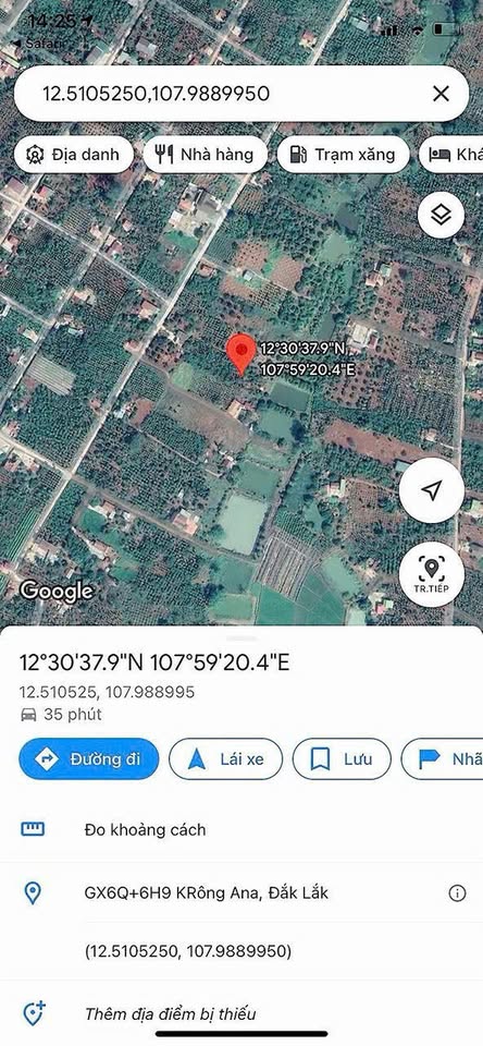 Đất Quỳnh Ngọc 10x24m, tặng cây vải trĩu quả, giá chỉ 255 triệu