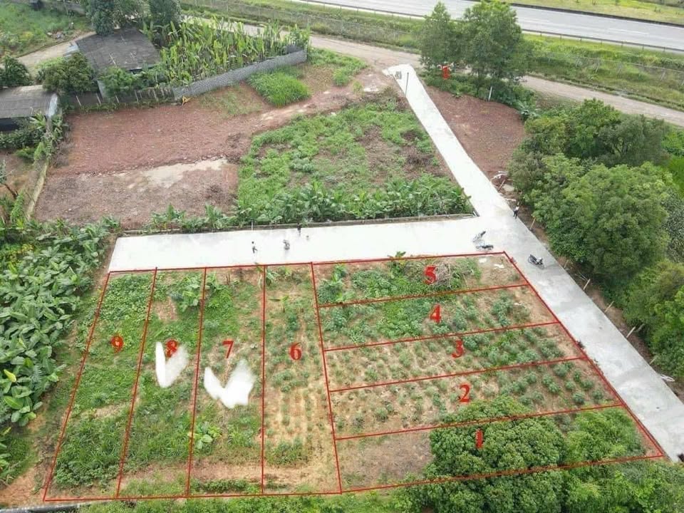 Chủ nhà chấp nhận lỗ sâu 150 triệu/lô, đang cực kỳ cần tiền để giải quyết việc cá nhân