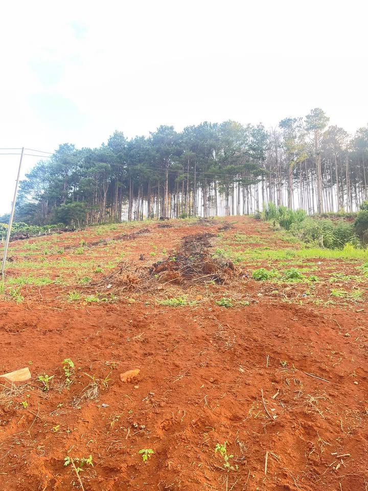 Tuyệt tác đất nền Mê Linh, view thung lũng, giá hời 1,5 tỷ