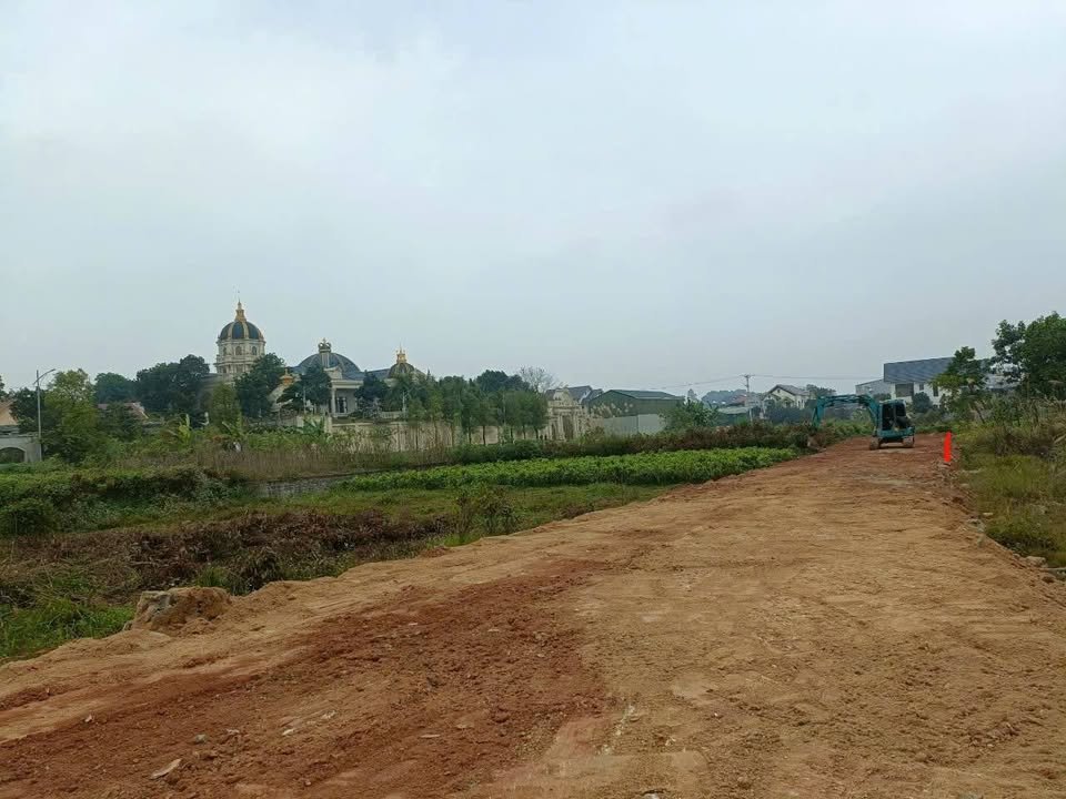 Mảnh đất vuông vắn, vượng khí tại khu 10, Phù Ninh, Phú Thọ đang chờ đón chủ nhân mới