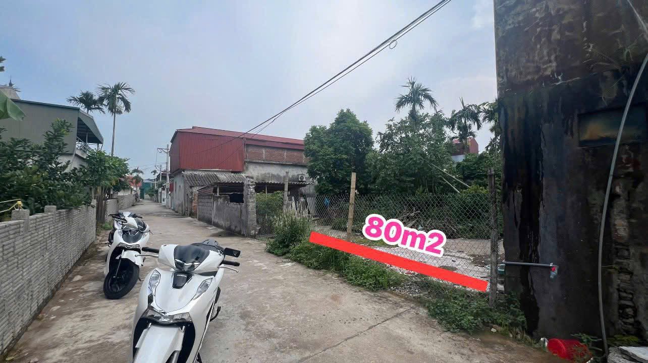 Bán đất đấu giá Tiên Sơn, Bình Lục, tiềm năng x3 tài sản, gần dự án Sun Group