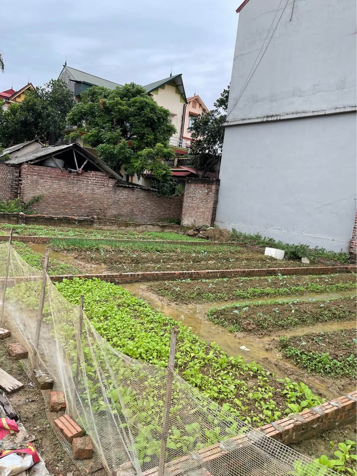 Đất Mão Điền siêu lợi nhuận – gần 60m2 – sổ đỏ chính chủ