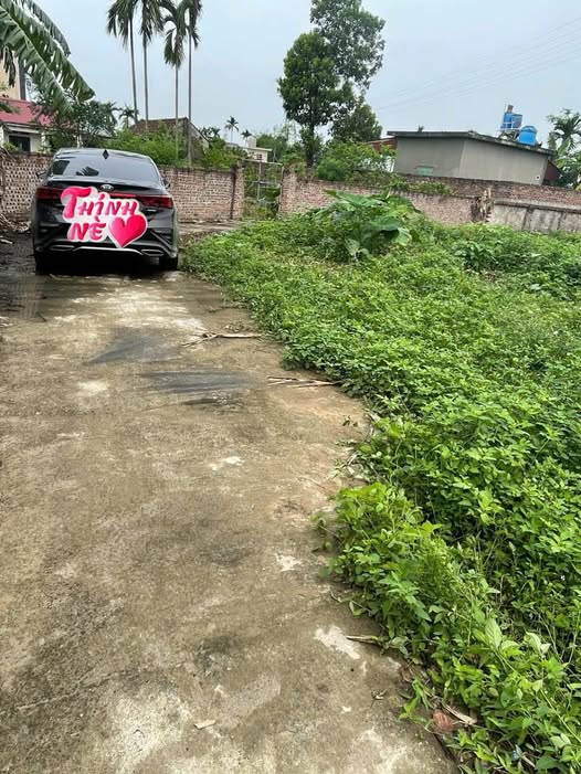 Siêu phẩm đất nền 100m2 tại Hòa An, Thái Thụy, Thái Bình đang chờ chủ nhân mới