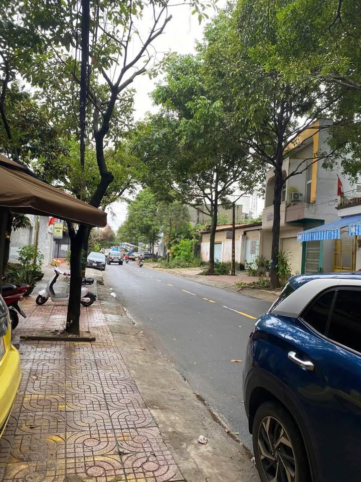 Mặt tiền Nguyễn Công Trứ, Buôn Ma Thuột, tiềm năng kinh doanh đa ngành