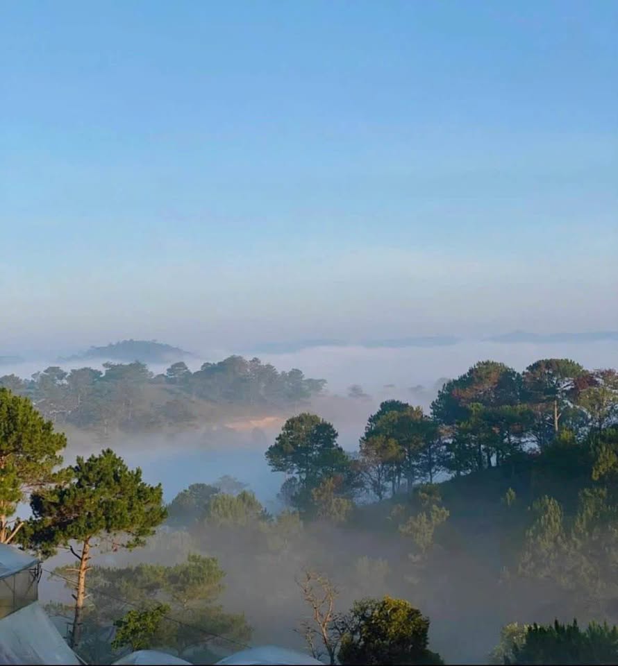 Cần bán gấp lô đất thổ cư 100% tại thành phố Đà Lạt, tỉnh Lâm Đồng