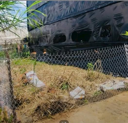 Đất Đà Lạt hai mặt tiền, nở hậu tài lộc, giá chỉ 900 củ